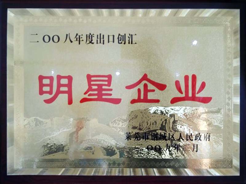 Export star enterprises in 2008
