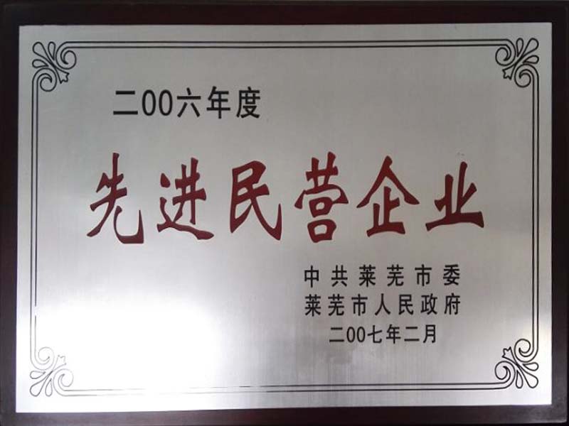2006年度先進民營企業