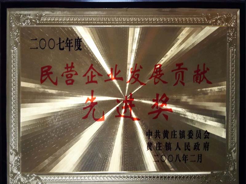 2007年民營企業發展貢獻先進獎
