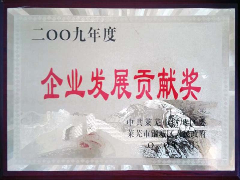 2009年鋼城區貢獻獎
