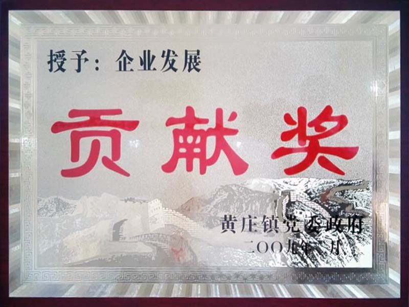 2008年企業發展貢獻獎