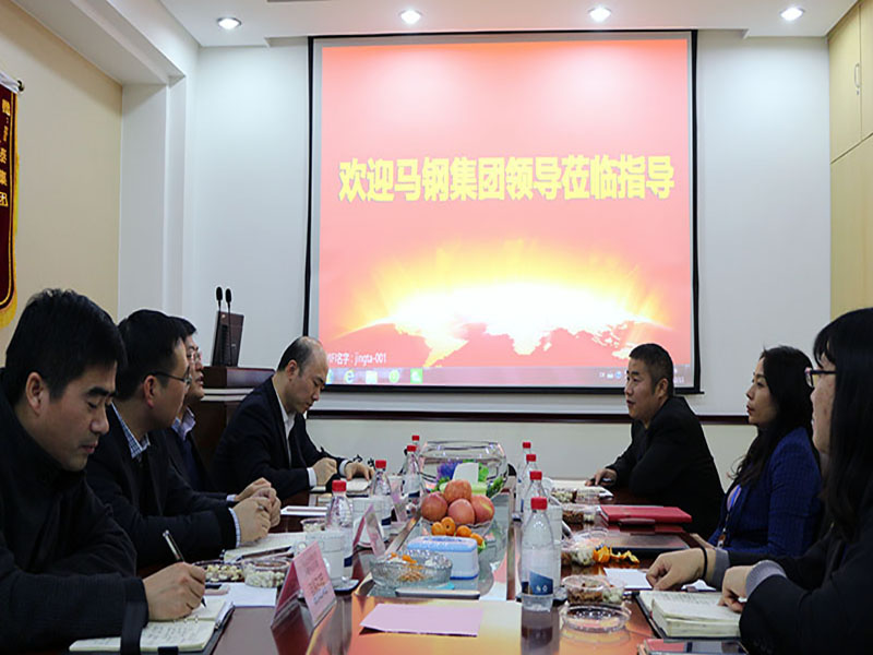 the visit and exchange of Magang Group's leaders